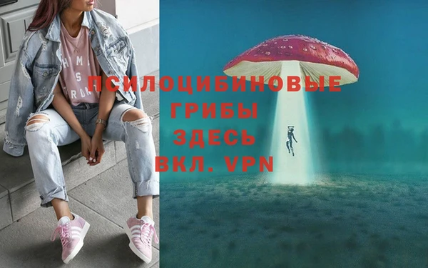 mdma Медногорск