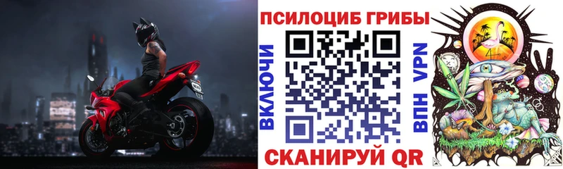 Купить  Чистополь  Галлюциногенные грибы Psilocybe 