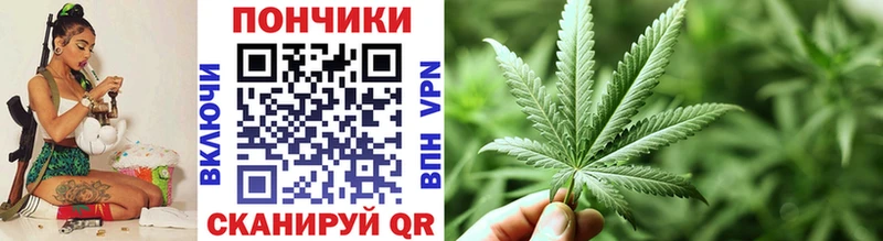 МАРИХУАНА семена  Купить где  Чистополь 